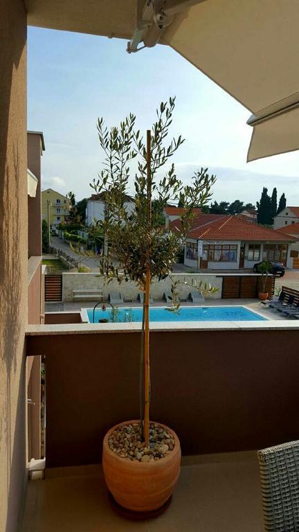 Antonija Apartments with Pool Biograd Na Moru Buitenkant foto